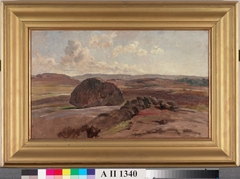 Rugged landscape near Gothenburg by Berndt Lindholm