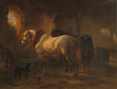 Stal met paarden by Wouterus Verschuur