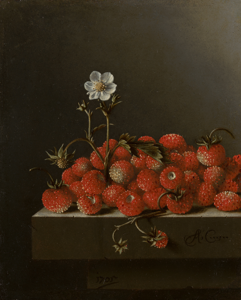 Exhibit image