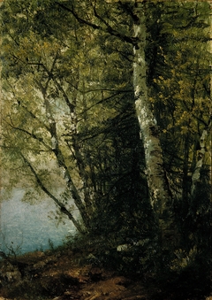 Study of Beeches by John Frederick Kensett