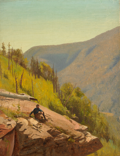 Summer Hills, Kauterskill Clove by Jervis McEntee