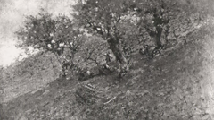 The Chestnut Harvest (Filippini) by Francesco Filippini