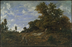 The Edge of the Woods at Monts-Girard, Fontainebleau Forest by Théodore Rousseau