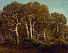 The Great Oaks of Old Bas-Bréau by Théodore Rousseau