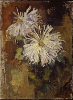 Two chrysanthemum blossoms by Piet Mondrian