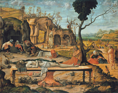 Untitled by Vittore Carpaccio