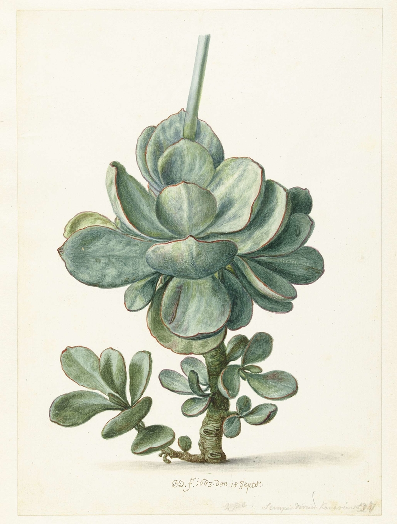 Exhibit image