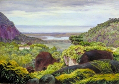 View near Tijuca, Brazil, Granite Boulders in the Foreground by Marianne North