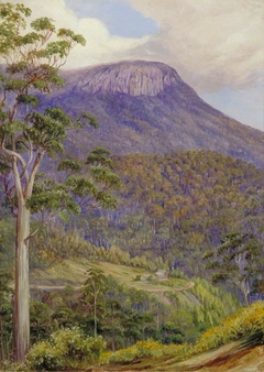 View of the 'Organ Pipes', Mount Wellington, Tasmania by Marianne North