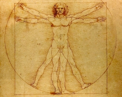 Vitruvian Man by Leonardo da Vinci