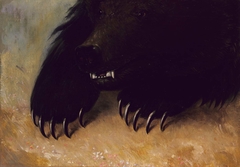 Weapons and Physiognomy of the Grizzly Bear by George Catlin