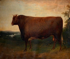 'Weathercock': a Champion Bull, Winner of the 2nd prize of 20 £ in Class E of the R. A. Society in 1850 at the age of 2 years &  9 months by attributed to G E Hysum