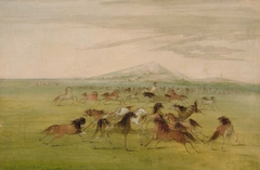 Wild Horses at Play by George Catlin