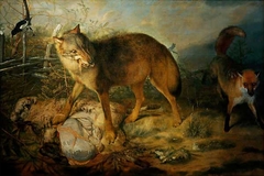 Wolf reißt ein Lamm by Christopher Paudiß