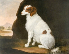 A White and Brown Spaniel by Francis Sartorius