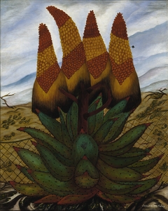 Aloes by Josephine Joy