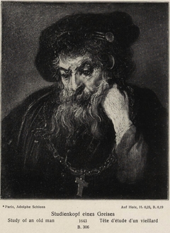 An Old Man almost in Full Face by Rembrandt