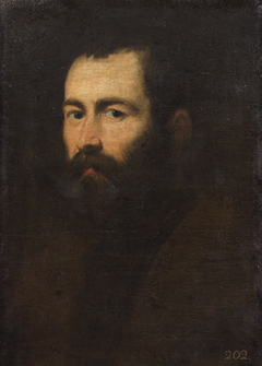 Bildnis eines dunkelbärtigen, blauäugigen Mannes by Jacopo Tintoretto