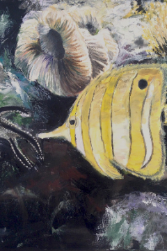 Butterfly Fish by Elisenda Vila