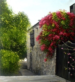 Cypriot Lane by Barry Westcott