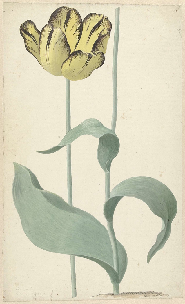 Exhibit image