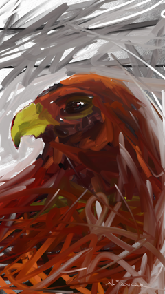 Eagle by nezih sancar