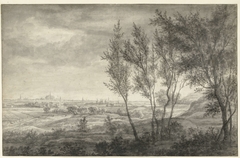 Gezicht vanuit de duinen op Haarlem by Anthonie Waterloo