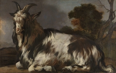 Goat Lying Down by Jan Baptist Weenix