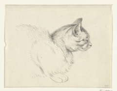 Liggende kat, naar rechts by Jean Bernard