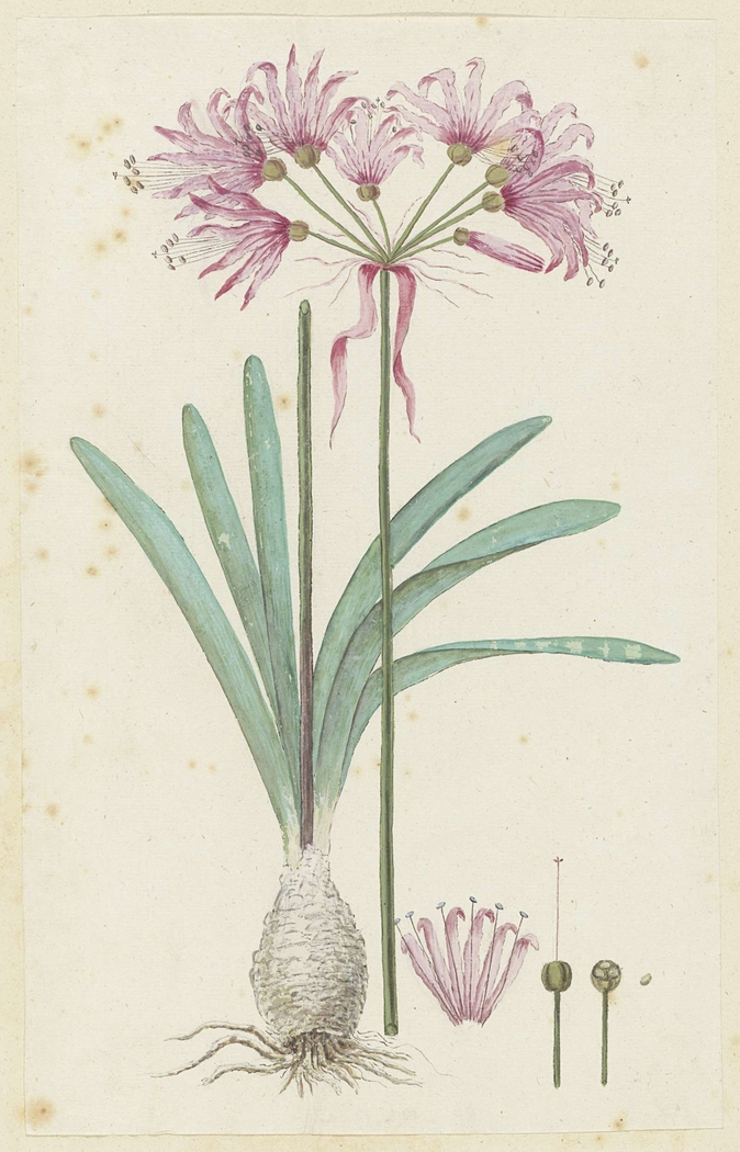 Exhibit image