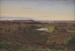 Nordsjællandsk landskab. Eftermiddagsbelysning by Vilhelm Kyhn