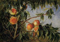 Peaches by Worthington Whittredge