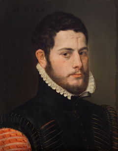 Portrait of a Man with Brow by Frans Pourbus the Elder