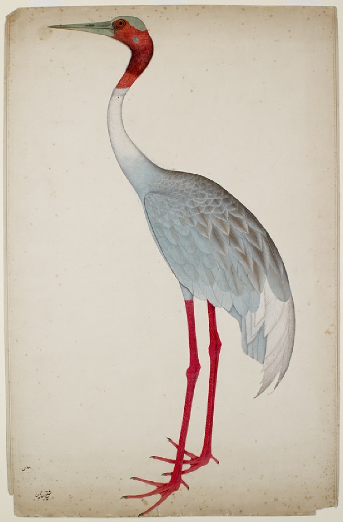Exhibit image