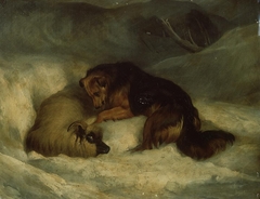 Sheepdog rescuing ram from snowdrift by Anonymous