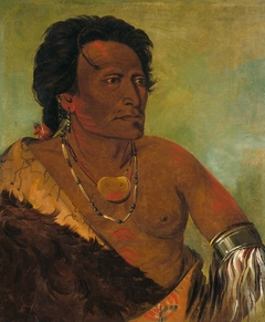 Sky-se-ró-ka, Second Chief of the Tribe by George Catlin