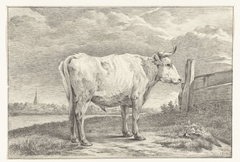 Staande stier, naar rechts by Jean Bernard