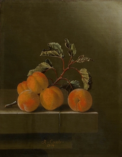 Still life with five apricots by Adriaen Coorte