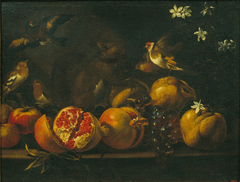 Still Life with Pomegranates, Grapes, Birds and a Squirrel by Tommaso Realfonso