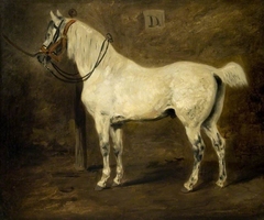 The White Horse by Alexis-Joseph Perignon