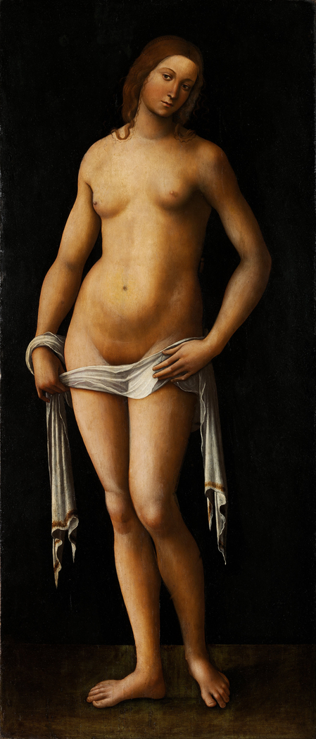 Exhibit image