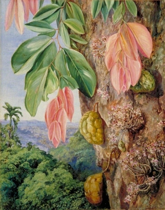 View in Singapore with Nyum-Nyum Tree by Marianne North