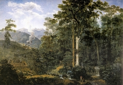 View of a virgin forest reduced to charcoal by Félix Taunay