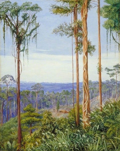 View of Matang, Sarawak, Borneo by Marianne North