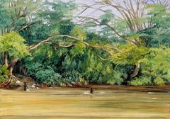 View of the Sandy River at Spanish Town, Jamaica by Marianne North