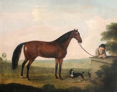 A Brown Horse, Spaniel and Groom by Francis Sartorius