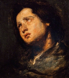 A Study of a Head by Anthony van Dyck