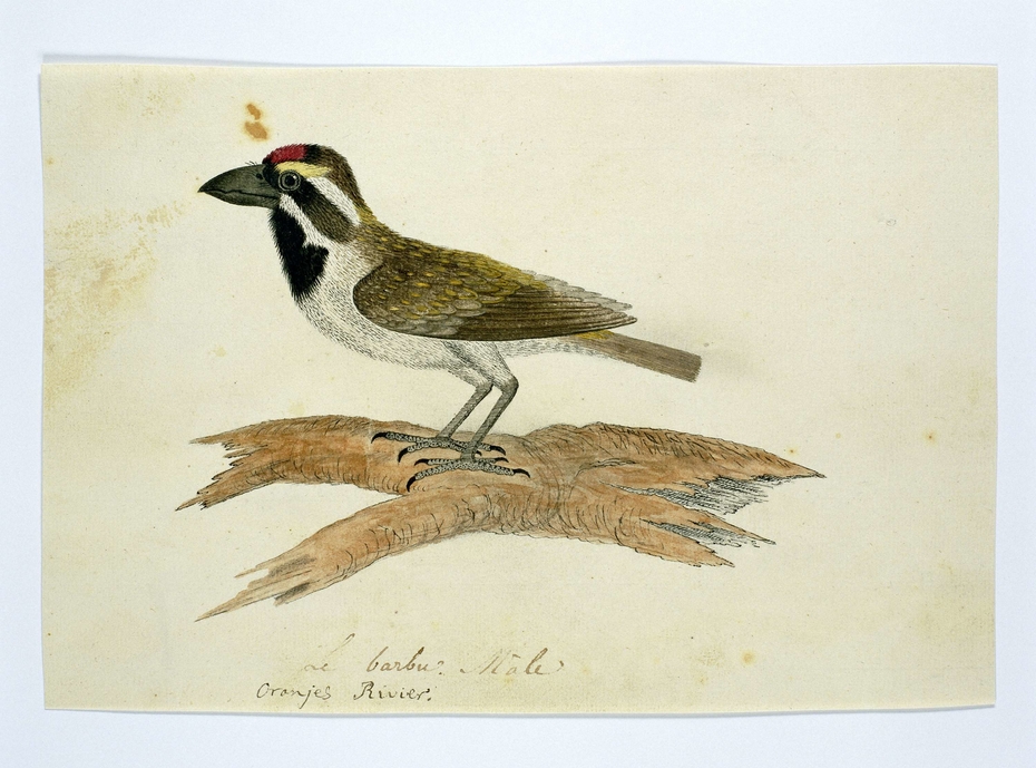Exhibit image