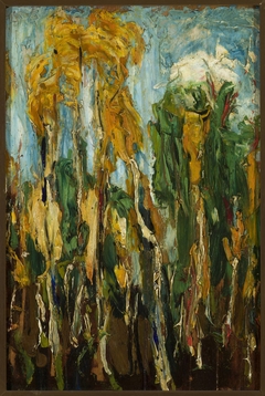 Birch trees by Konrad Krzyżanowski