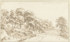 Brede weg in een landschap met bomen en gesteente bij Hamburg by Albert Meyeringh